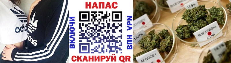 Купить наркотики Шимановск ГАШ  Марихуана  ТГК  Мефедрон 