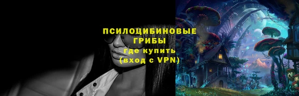 винт Белокуриха