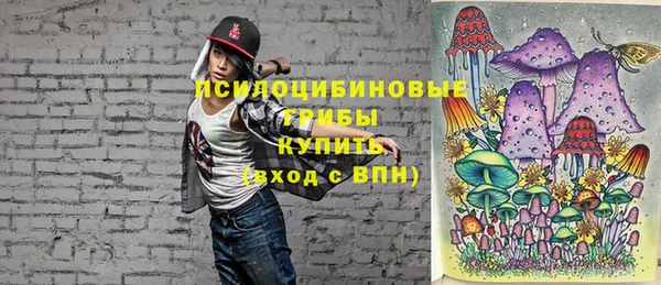винт Белокуриха
