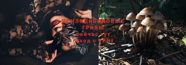хмурый Беломорск